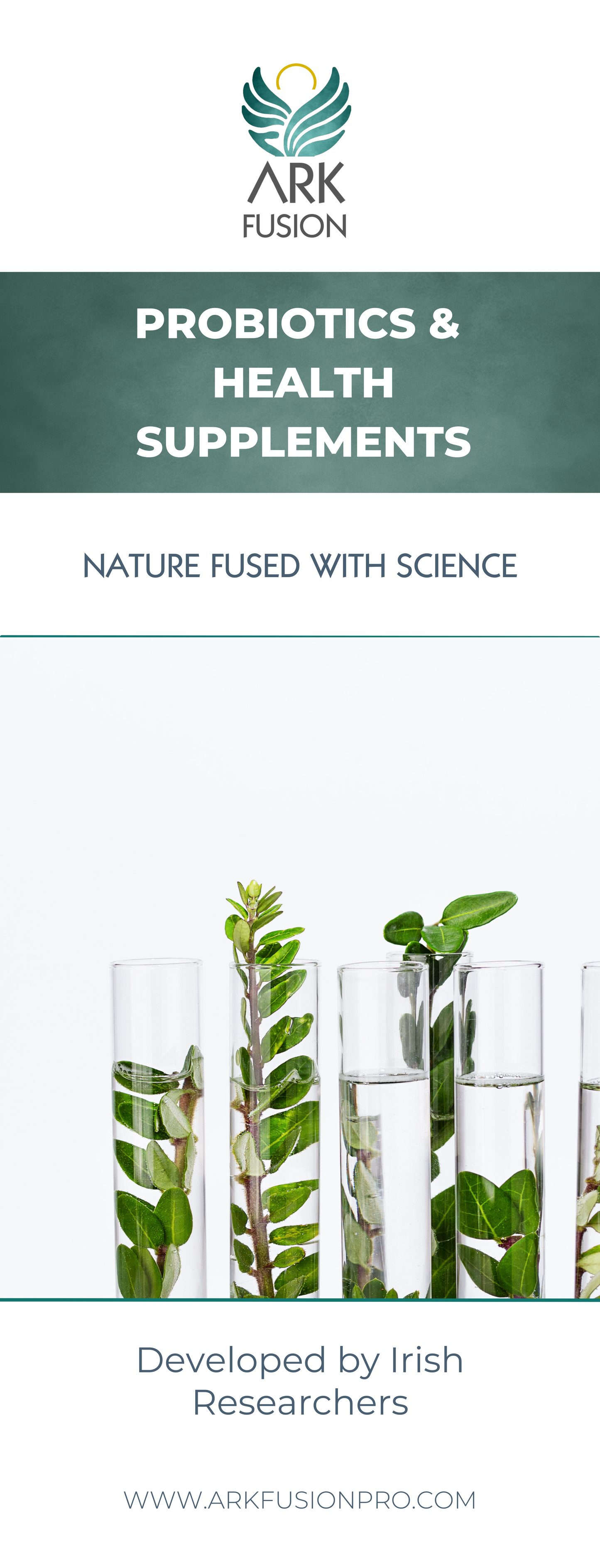 Pop Up Banner Digital Downlaods