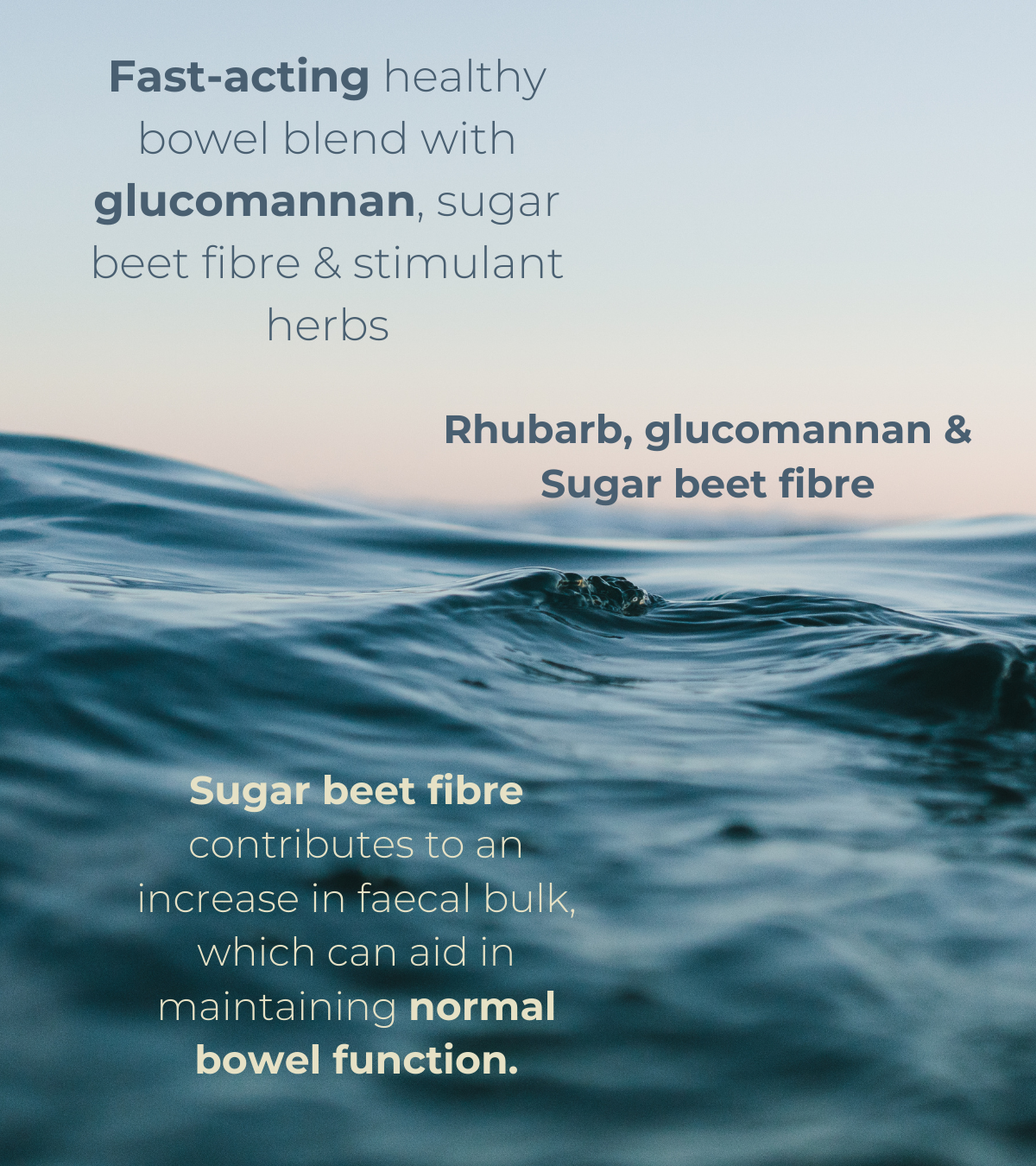 A graphic with ocean waves in the background, overlaid with health claims: “Fast-acting healthy bowel blend with glucomannan, sugar beet fibre & stimulant herbs.” Highlighted ingredients: Rhubarb, Glucomannan, and Sugar Beet Fibre. Emphasises digestive regularity and faecal bulk for bowel function.
