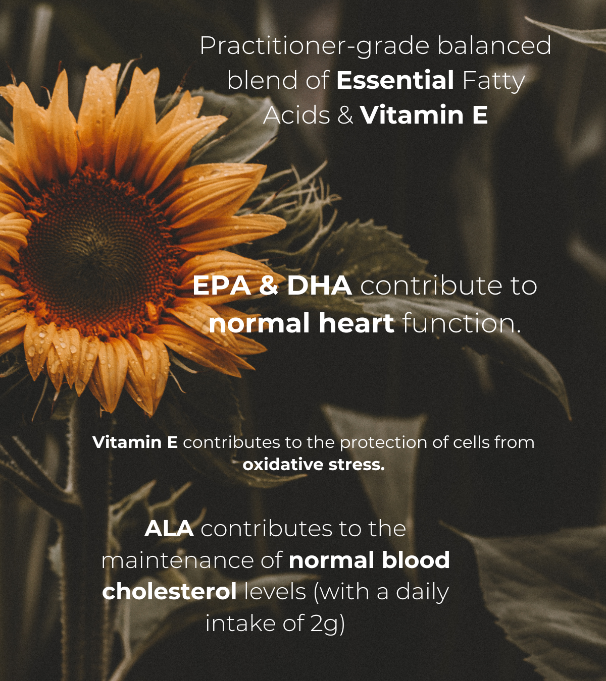 Background image of a sunflower with text highlighting the health benefits of Omega Fusion: a practitioner-grade blend of essential fatty acids and vitamin E. Text includes claims for EPA, DHA, ALA, and Vitamin E supporting heart function, cholesterol levels, and cell protection from oxidative stress.