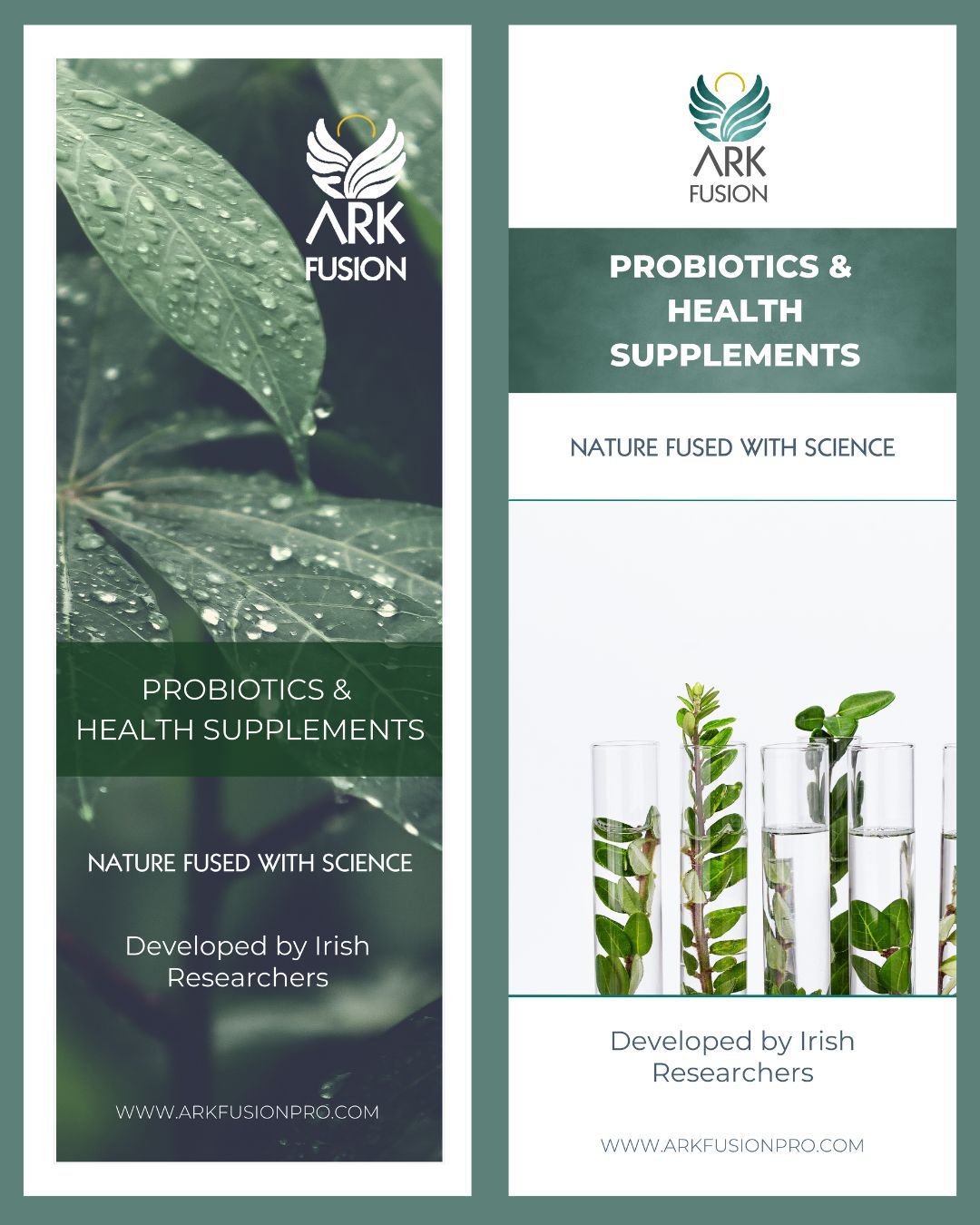 Pop Up Banner Digital Downlaods